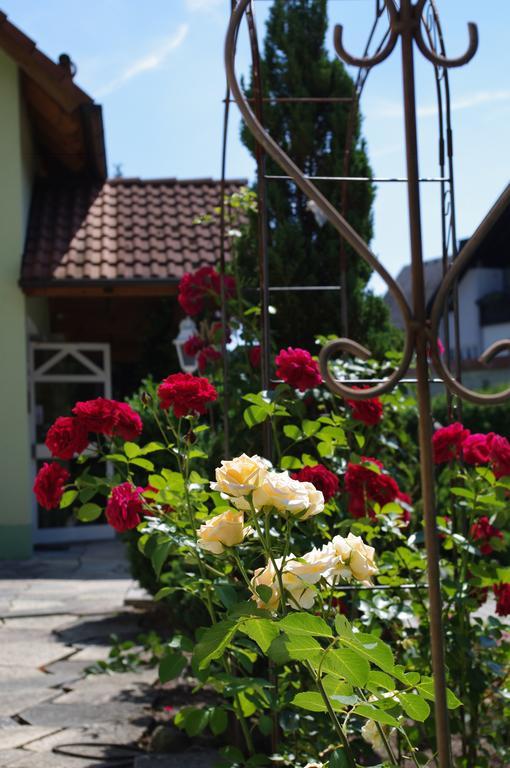 Gasthof Roseneck Wallenfels エクステリア 写真